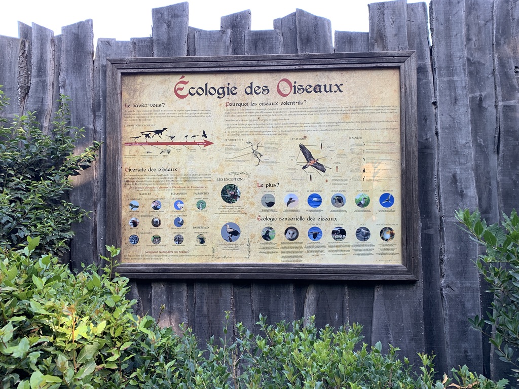 Création de contenu