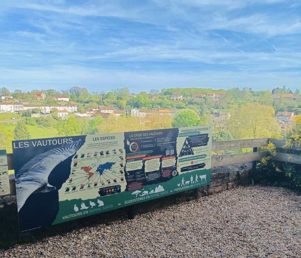 Création de contenu et visuel