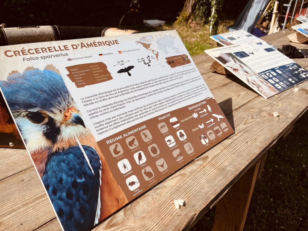 Création de contenu et visuel