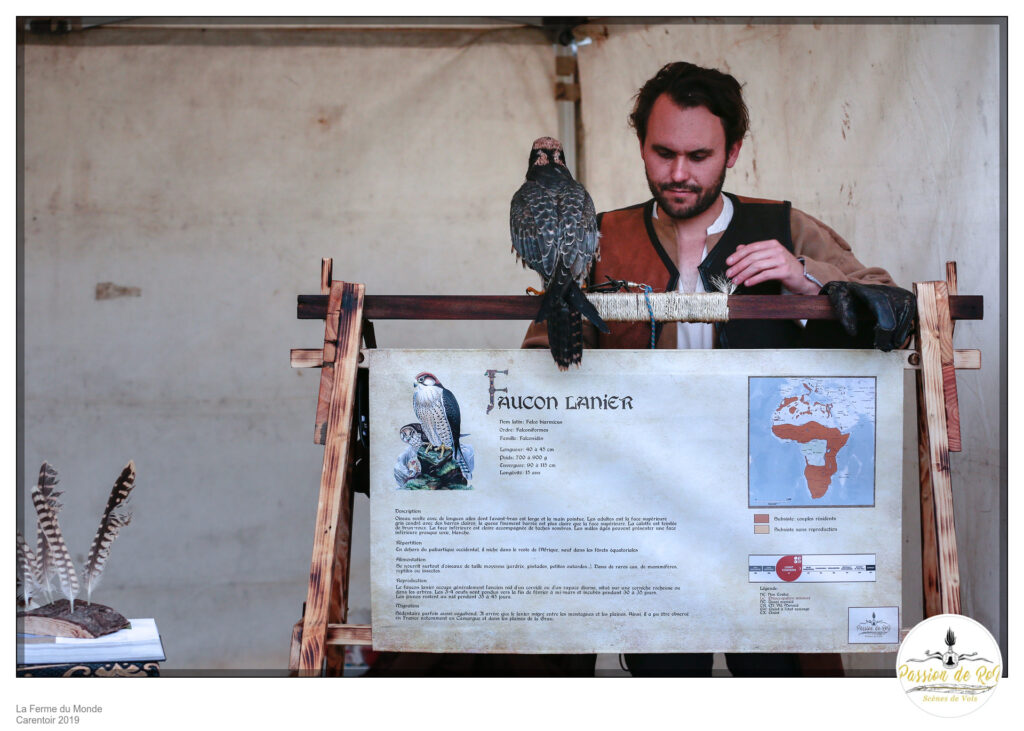 Validation du contenu