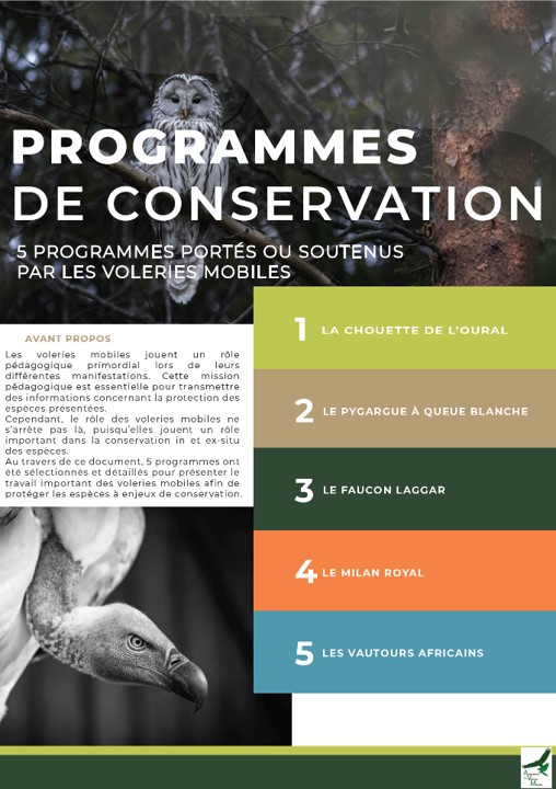 Création de contenu et visuel