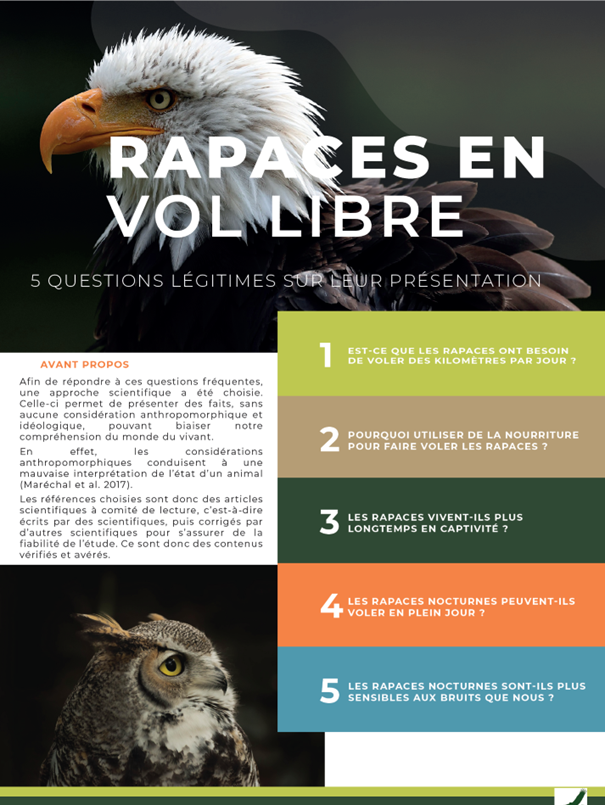 Création de contenu et visuel